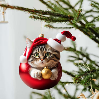 🎅🏻Christmas Cat Ornaments😻